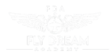 fly dream